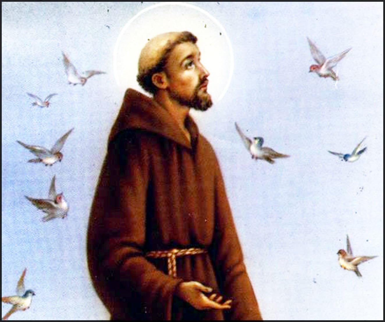 San Francisco De As s Biograf a Oraciones Milagros Y M s