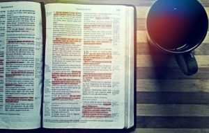 cuantos libros tiene el nuevo testamento de la biblia