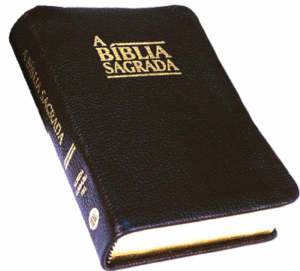cuantos libros tiene la biblia cristiana evangelica
