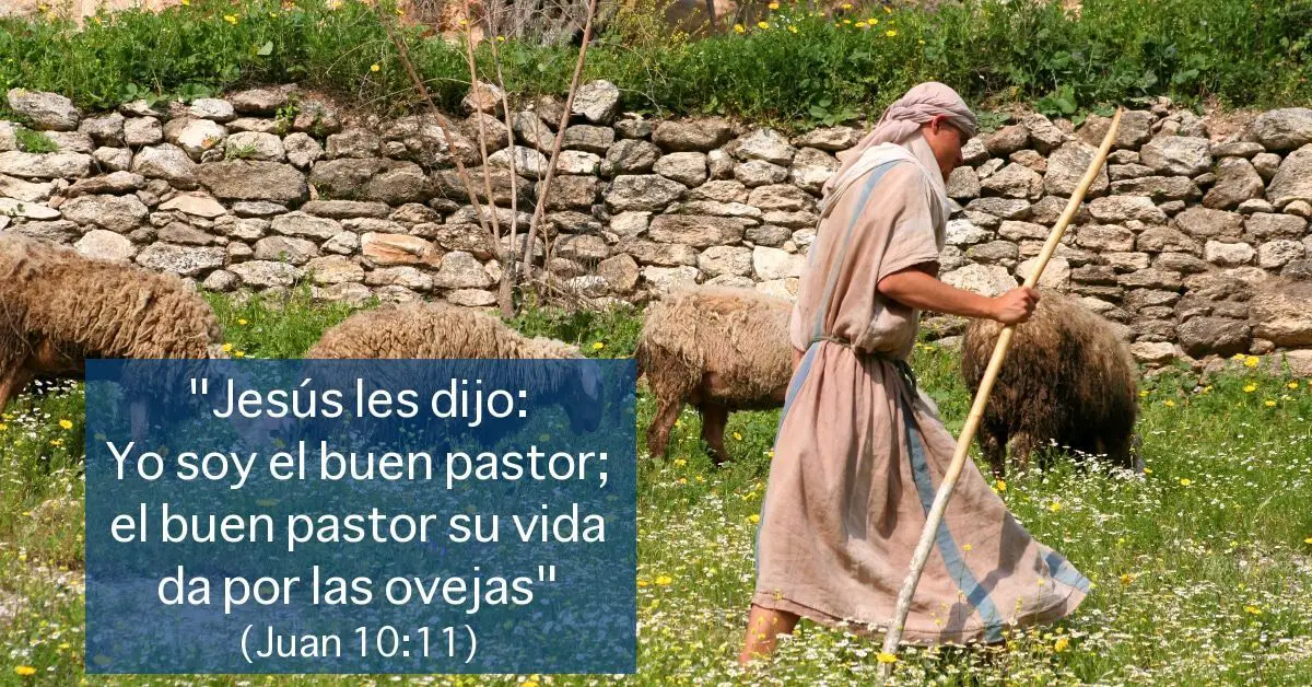 Quienes Fueron Pastores En La Biblia De Los Que Pastoreaban Ovejas