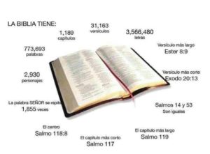 por que es importante la biblia