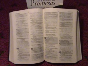 santa biblia edicion de promesas