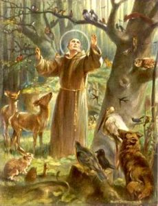 oracion a san francisco de asis por los animales perdidos-5