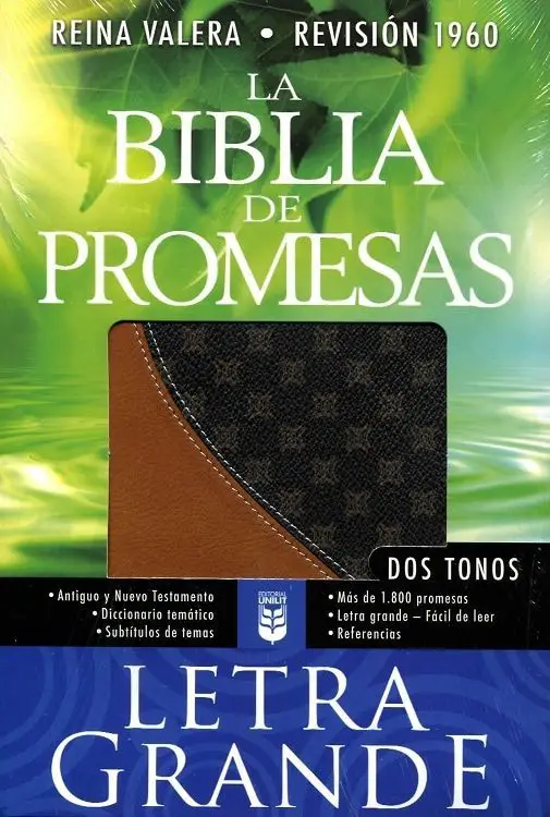 santa biblia edicion de promesas