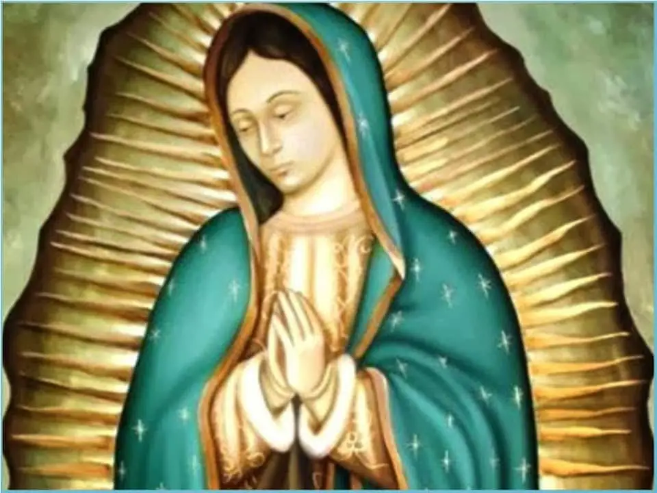 la virgen de Guadalupe y sus milagros-5