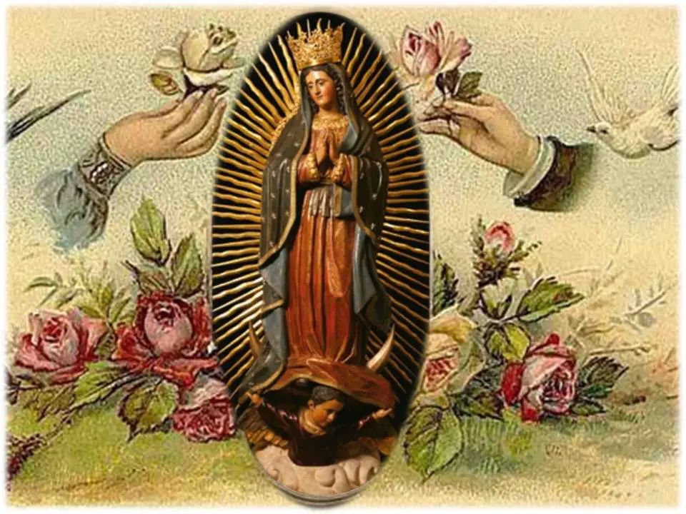 Oración a la Virgen de Guadalupe-8