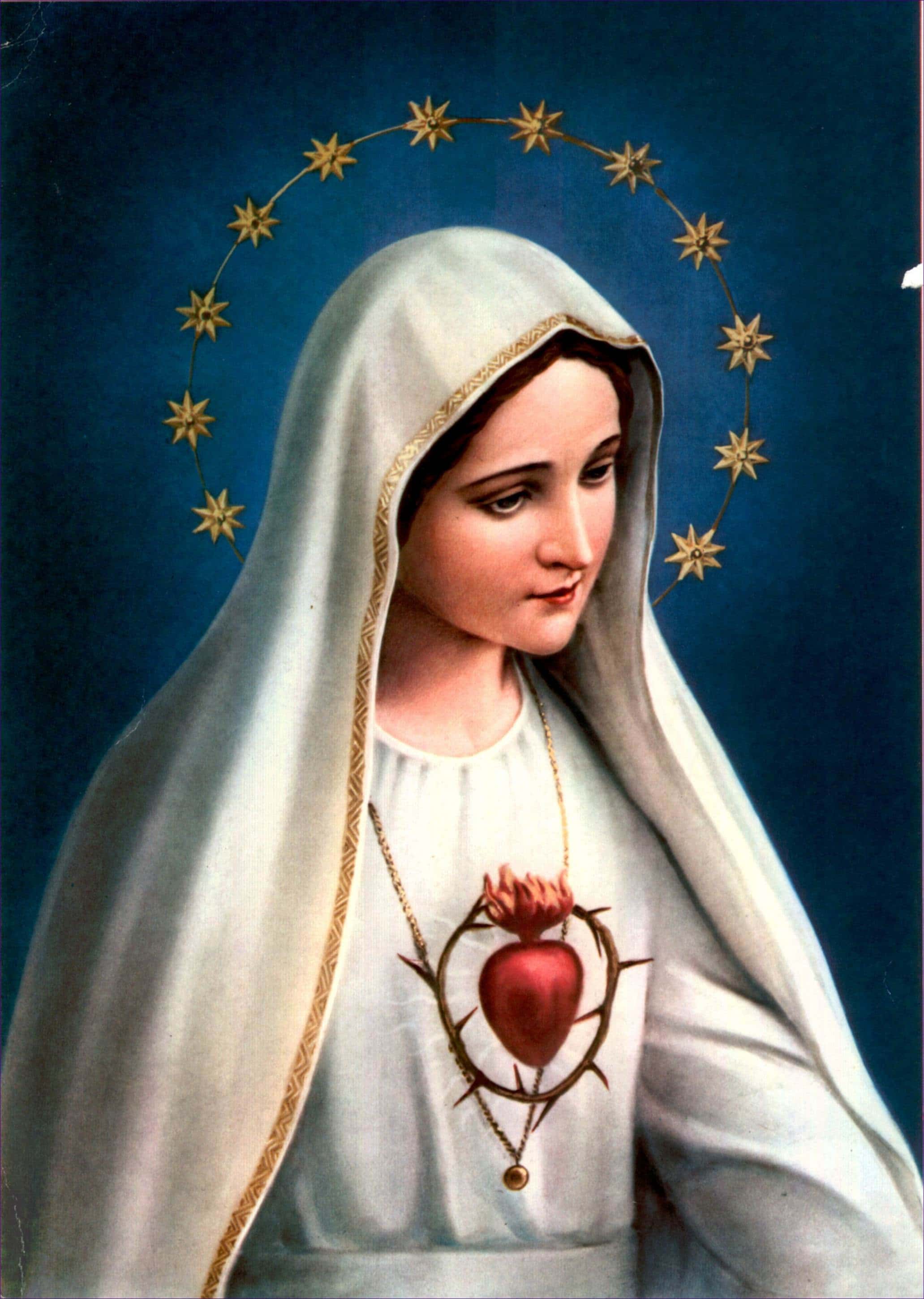 Virgen Maria Png Virgenmaria Virgencita Passover Semanasanta - Reverasite