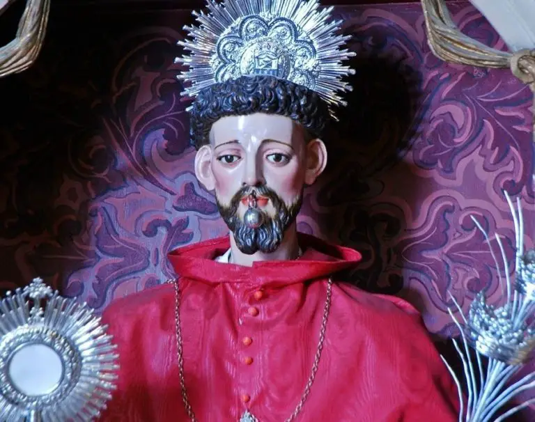 Saint Raymond Nonnatus: History, prayer, miracles and more