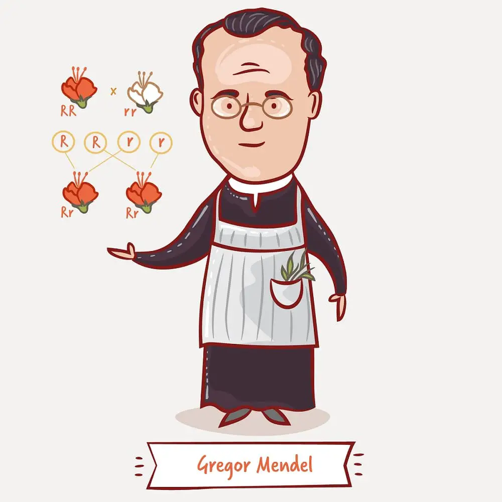 GREGOR MENDEL, TODO DE ESTE IMPORTANTE NATURALISTA AUSTRIACO